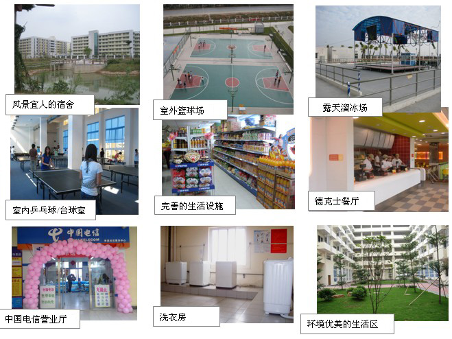 公明招聘信息_光明区2018年公明街道冬季公益招聘会公告(2)