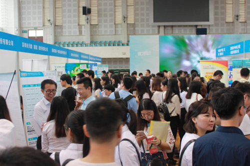 2017深圳人才招聘会图片